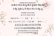 Calya | Script Font, a Handwritten Font by Scratchones (Thumbnail 7 of 9)