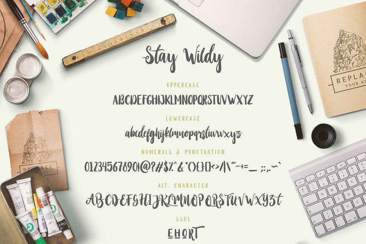 Stay Wildy, a Script Font by Dikas Studio (Photo 9 of 9)