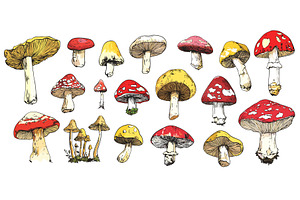 Cartoon mushrooms collection. Forest, a Food Illustration by Valerie Bodnar