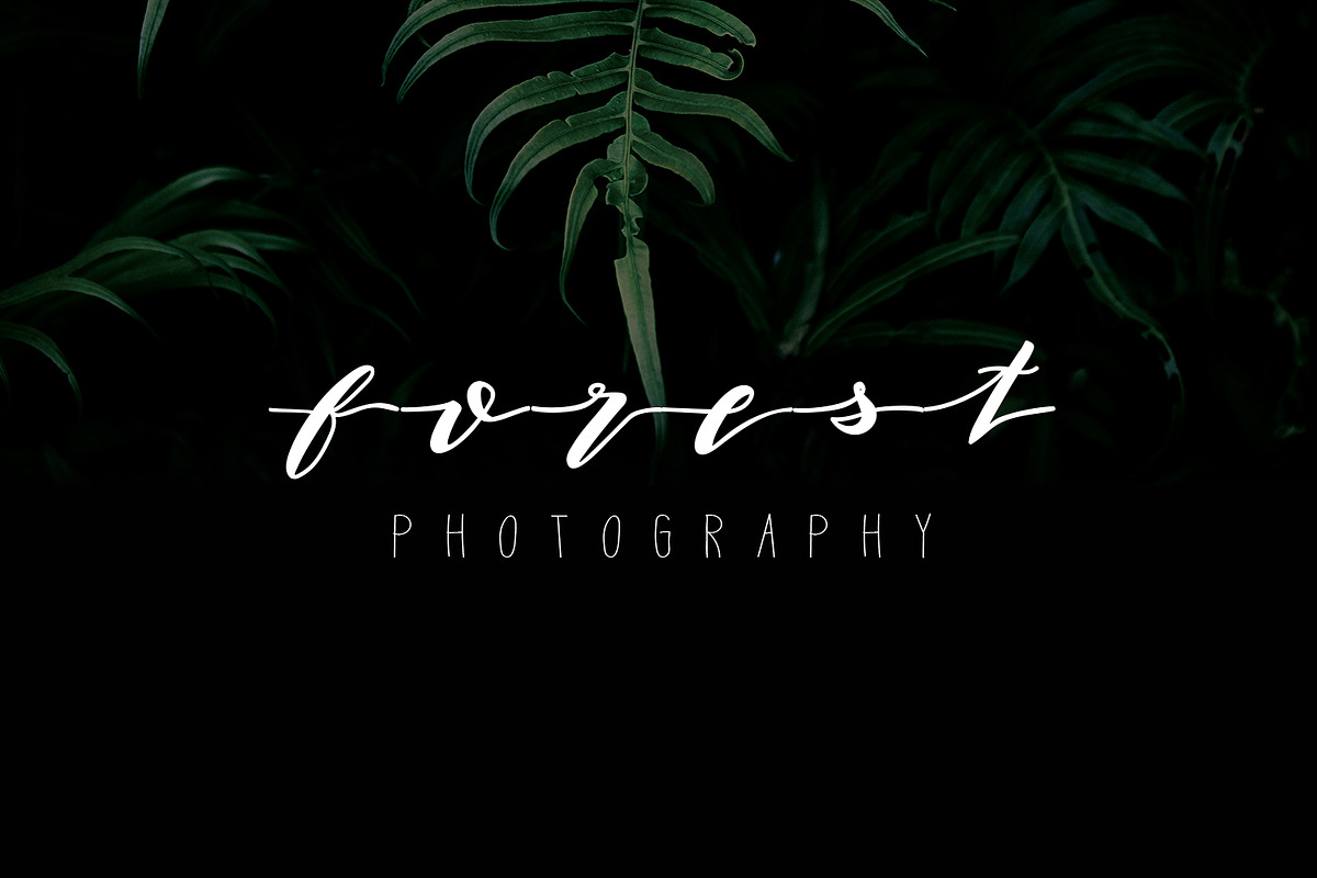 Laksamee Script Duo Font preview 2