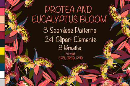 Protea and Eucalyptus Bloom