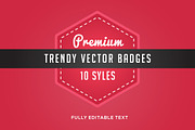 10 trendy vector badges, a Templates & Theme by Woo Graphics (Thumbnail 1 of 5)