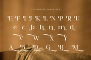 Browgia - Elegant Luxury Typeface, a Serif Font by Muflieart (Thumbnail 7 of 8)