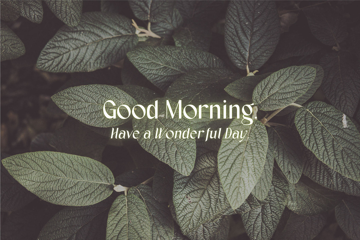 Wahog - Sans Serif With Nice Italic, a Sans Serif Font by AuthenType (Photo 12 of 15)