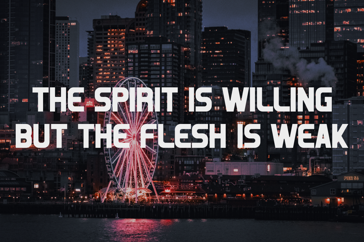 Rosemero Emperor - Modern Sans Font, a Sans Serif Font by MaikoHatta (Photo 4 of 5)