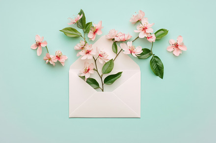 Flowers emerging from an envelope, a Photo by Beautiful things