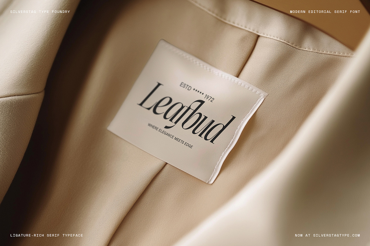 The Elfkin Editorial - Modern Serif, a Serif Font by SilverStag Type Foundry (Photo 5 of 20)