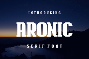 Aronic, a Serif Font by lelevien