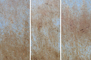 WMC Fest 5 texture pack, a Texture Graphic by The Shop (Thumbnail 26 of 36)