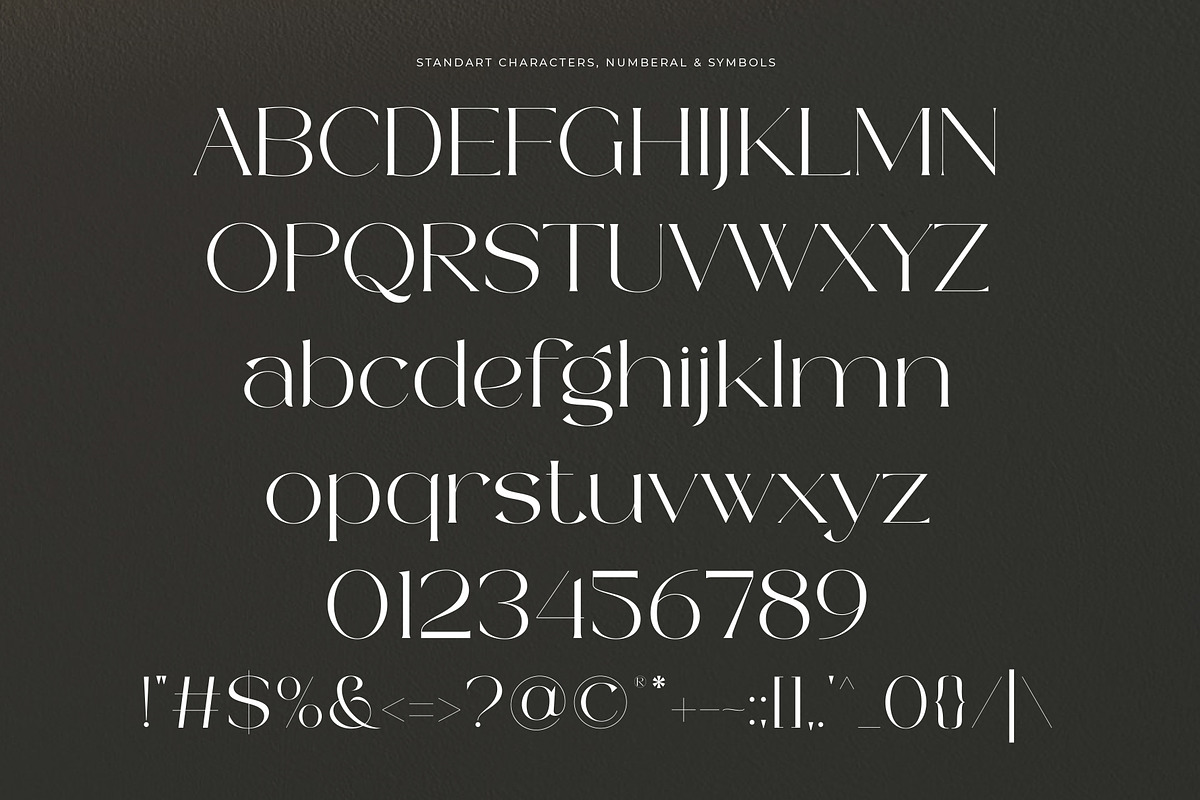 Bernya|Beauty Modern Serif Typeface, a Serif Font by Muflieart (Photo 9 of 10)