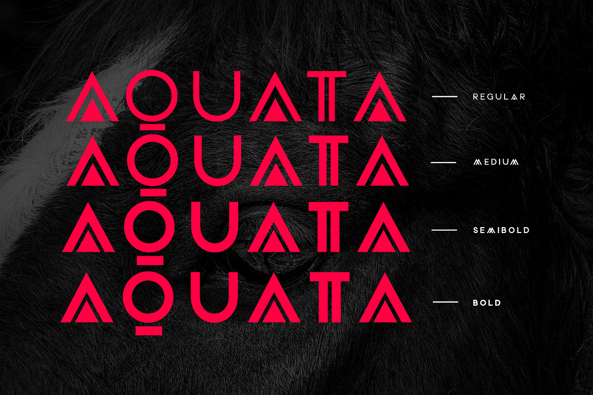 Aquata Typeface, a Sans Serif Font by Design Stag (Photo 2 of 9)