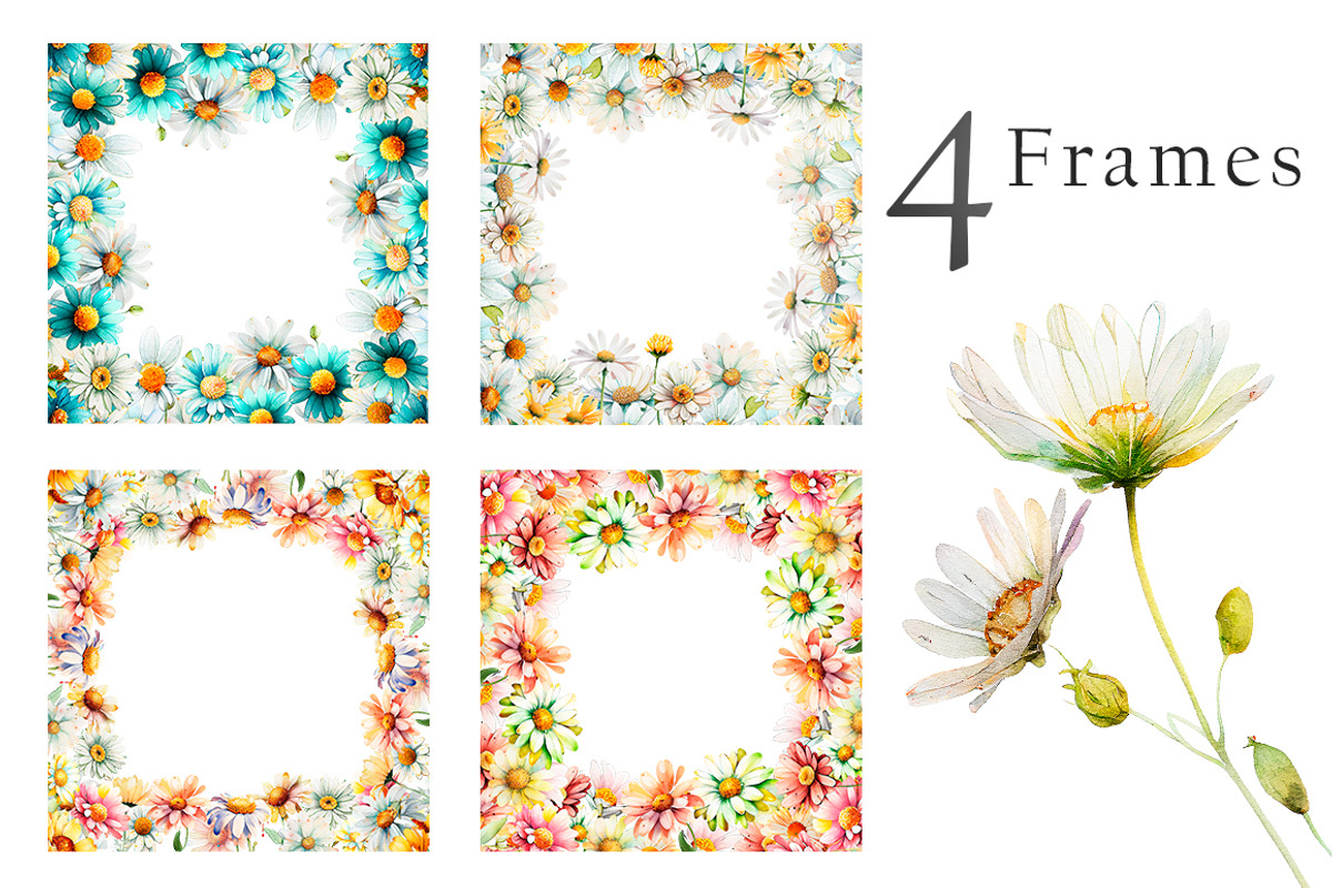Watercolor Daisies Flowers Clipart, an Object Illustration by Evgeniia (Photo 5 of 8)