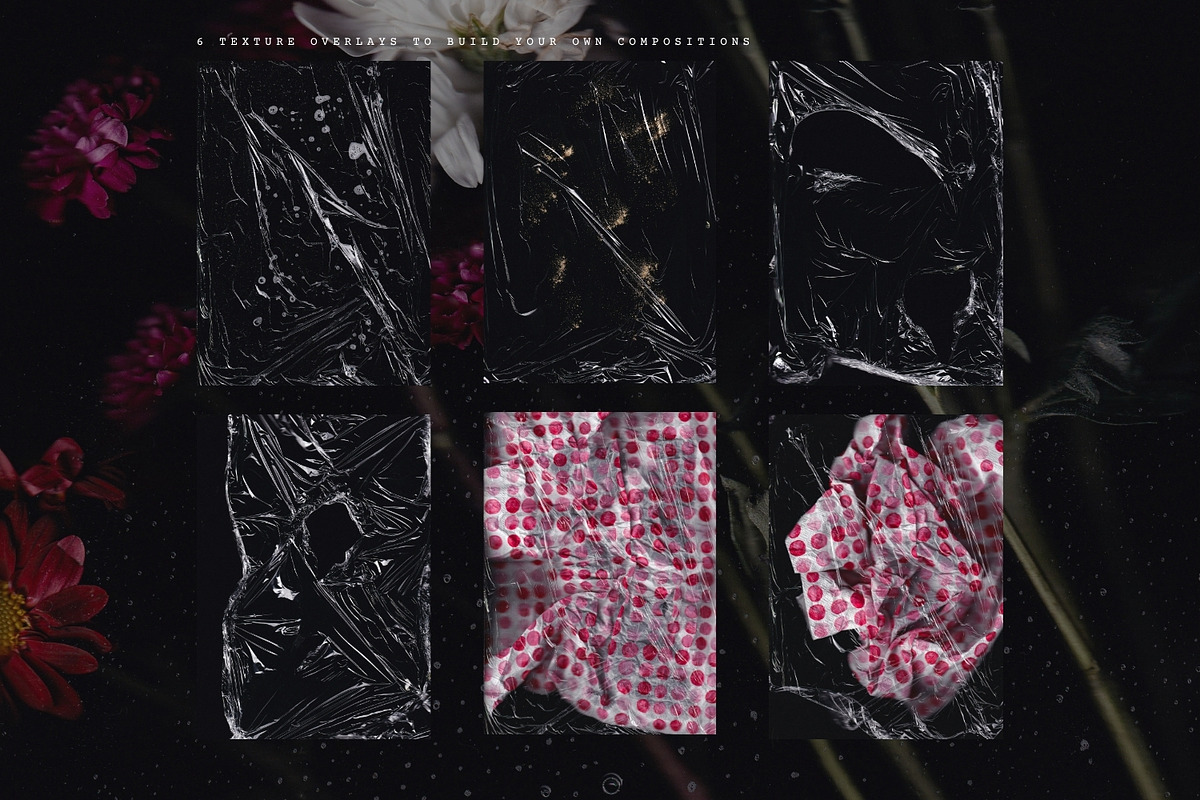 Noir Botanica Scanographs, a Texture Graphic by House of Delfina (Photo 10 of 11)