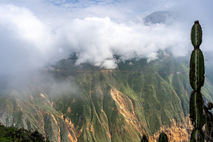 Colca Canyon with cactus in the mist, Peru, a Photo by GoodGoods