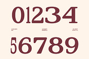 CS Delmar Mix, a Serif Font by Craft Supply Co. (Thumbnail 5 of 8)
