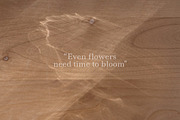 Natural Shadow Overlays & Background, a Texture Graphic by Feather & Sage Design (Thumbnail 2 of 9)