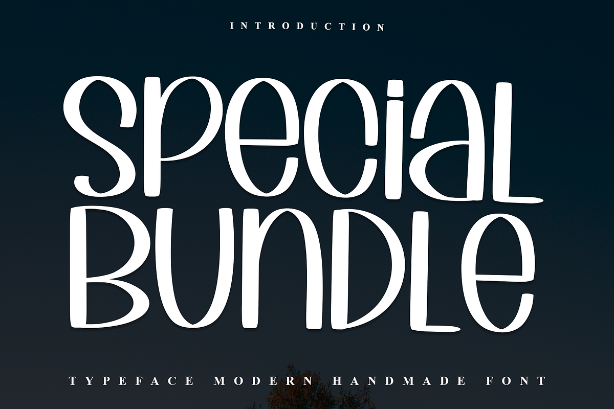 Special Bundle, a Sans Serif Font by FreshTypeINK (Photo 1 of 7)
