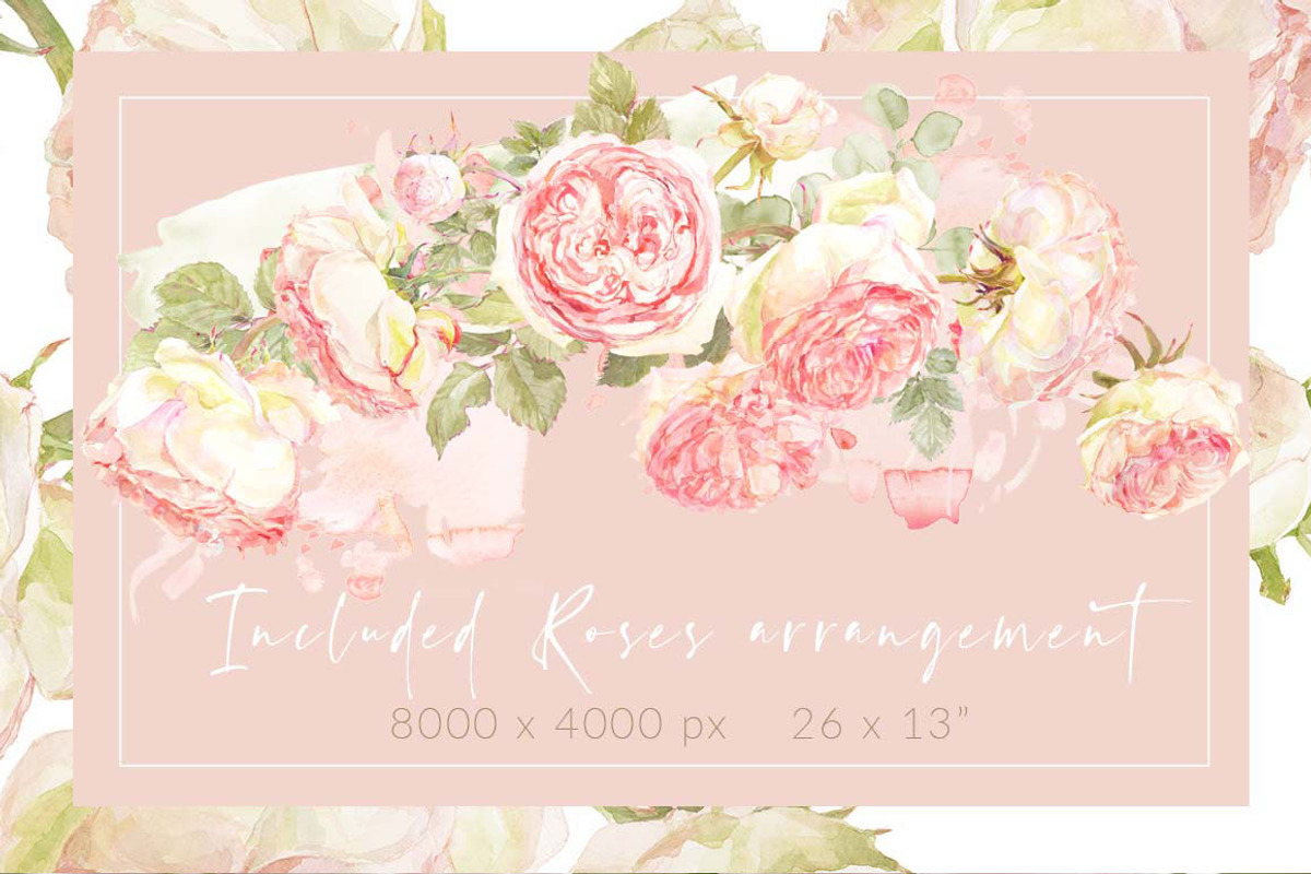 Roses watercolor clipart, an Illustration by watercolorwild.graphics (Photo 7 of 8)