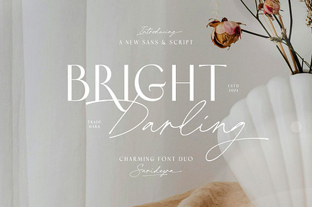 Bright Darling - Charming Font Duo, a Sans Serif Font by Sarid Ezra