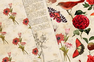 Vintage Naturalist Digital Paper