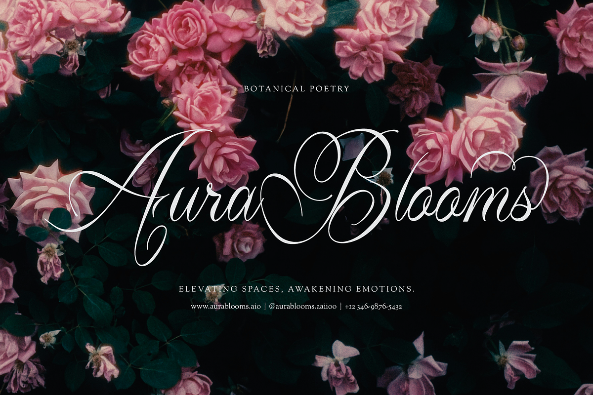 Lim Siendra | Classic Calligraphy, a Script Font by gracetype_studio (Photo 4 of 12)