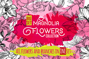 Magnolia flowers. Engraving style., a Decorative Illustration by Alena Kaz (Thumbnail 1 of 12)