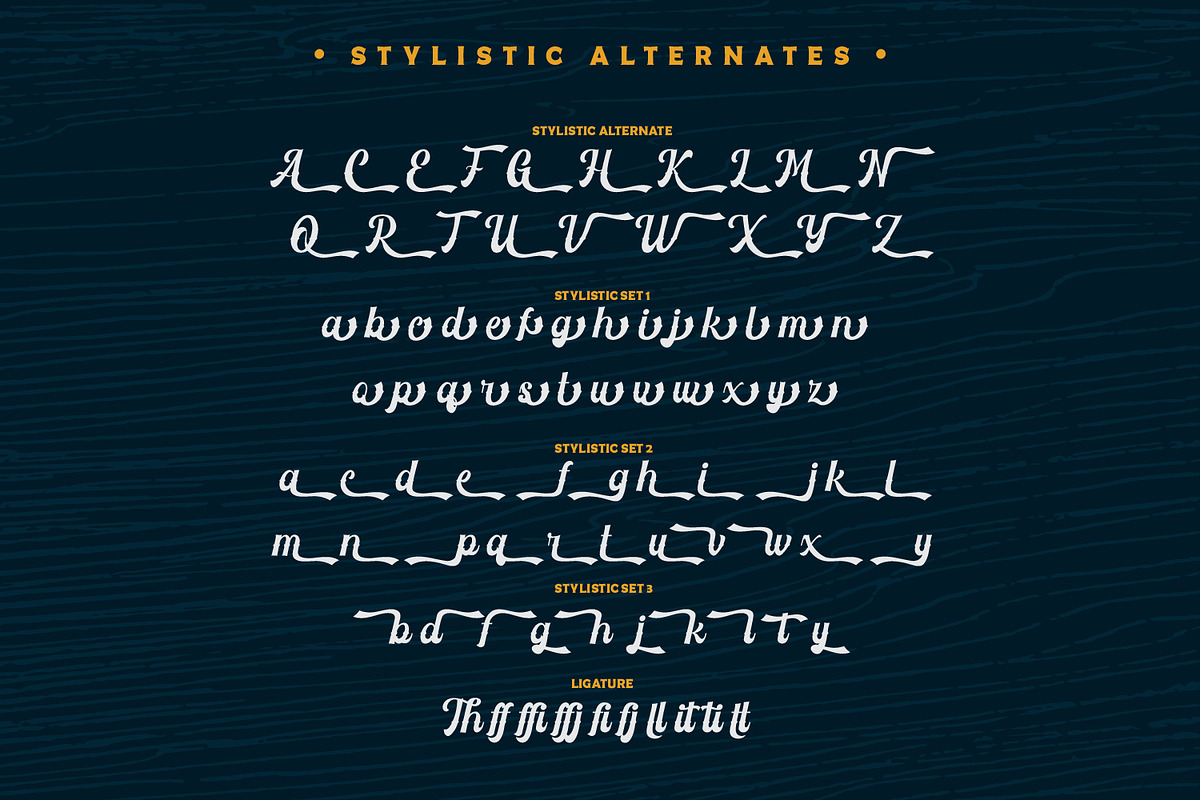 Vintage Feeling, a Script Font by Vintage Division (Photo 10 of 10)
