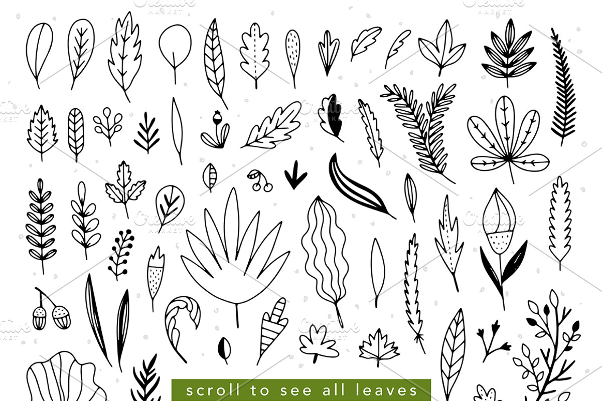 Hand Drawn Leaves, an Illustration by Redchocolate