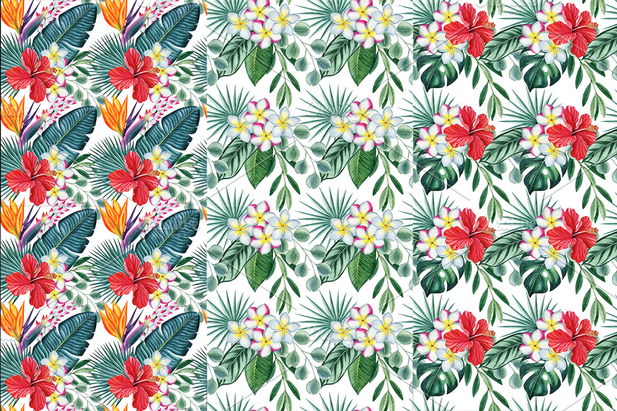 Tropical plants set, an Illustration by Watercolor life (Photo 12 of 13)