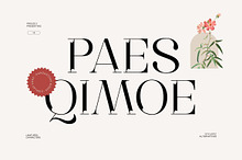 Paes Qimoe - Modern Luxury Serif