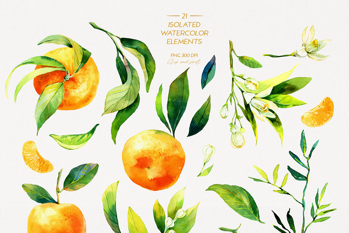 Tangerine Watercolor Collection, a Wallpaper Graphic by Natasha Koltsova (Photo 7 of 7)