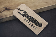 Hand-drawn fish vectors, a Food Illustration by Guerillacraft (Thumbnail 3 of 5)