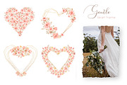 Gentle Bouquet, a Decorative Illustration by MayaNavits (Thumbnail 7 of 15)
