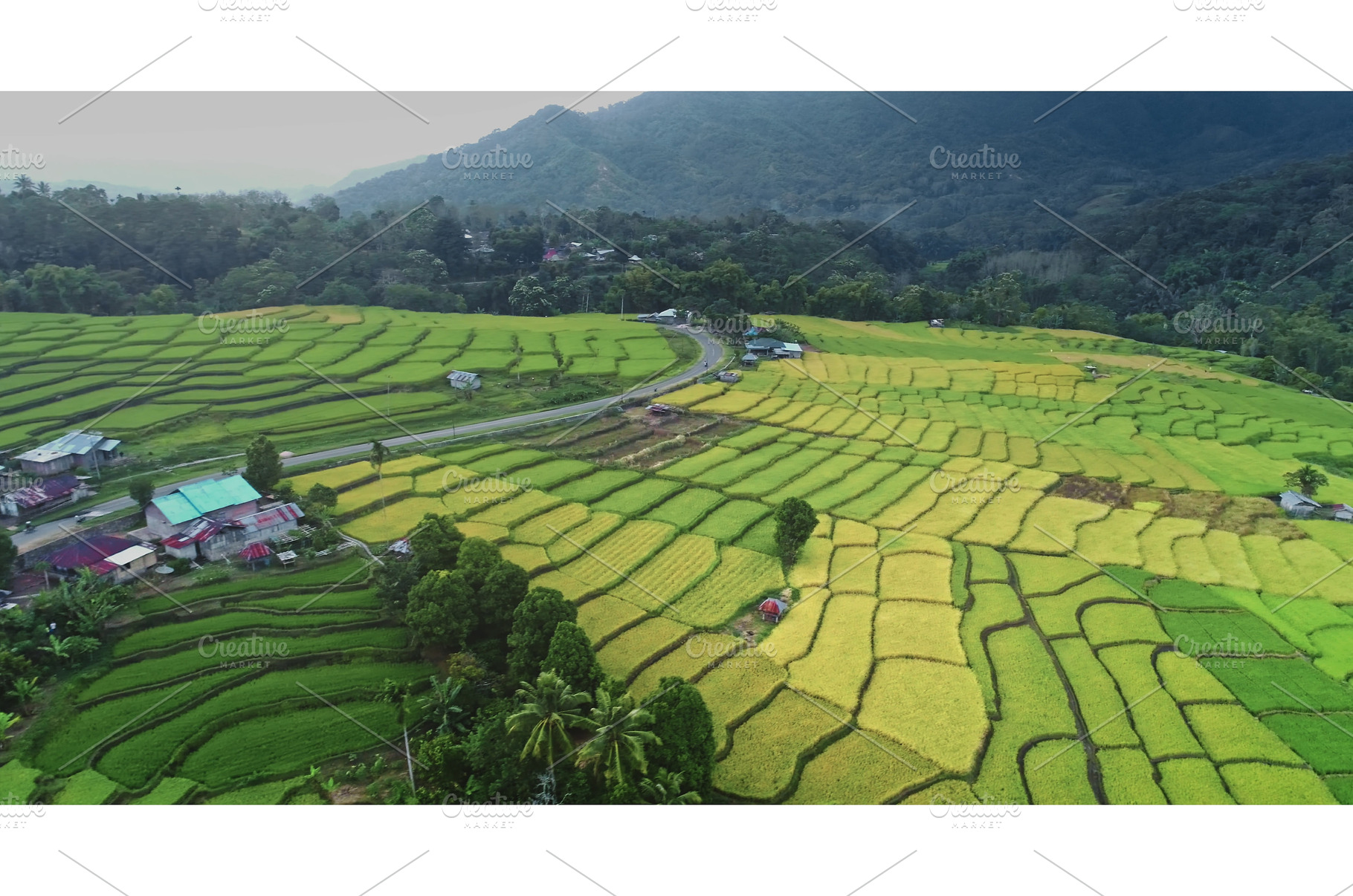 Beautiful rice terraces surrounded, a Nature Photo by Goinyk