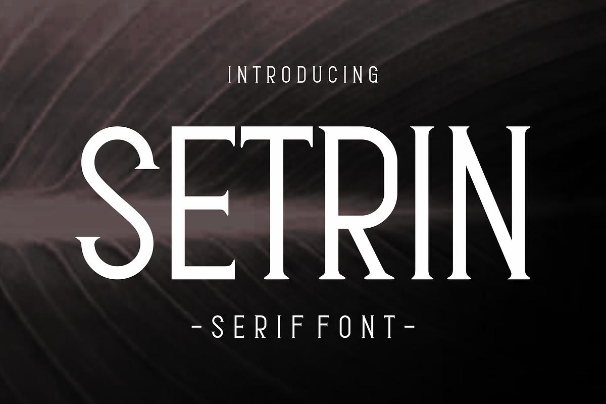 Setrin - Serif Font, a Serif Font by lelevien (Photo 1 of 4)