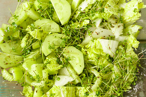 Fresh green salad with microgreens and vegetable mix. Healthy food and vegetari, a Food & Drink Photo by Eugene_Photo