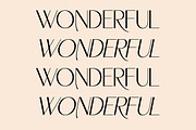 HEROVA, a Serif Font by Gatype (Thumbnail 10 of 13)