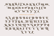 Bastro - Retro Bold Fonts, a Serif Font by HansCo Studio (Thumbnail 13 of 14)