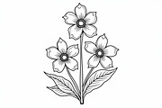 Floral Coloring Book for Adults Set, an Illustration by Creativeshirt (Thumbnail 8 of 9)