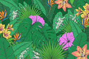 Vintage Tropical Flora Illustrations, an Object Illustration by Jaclyn Caris (Thumbnail 14 of 15)