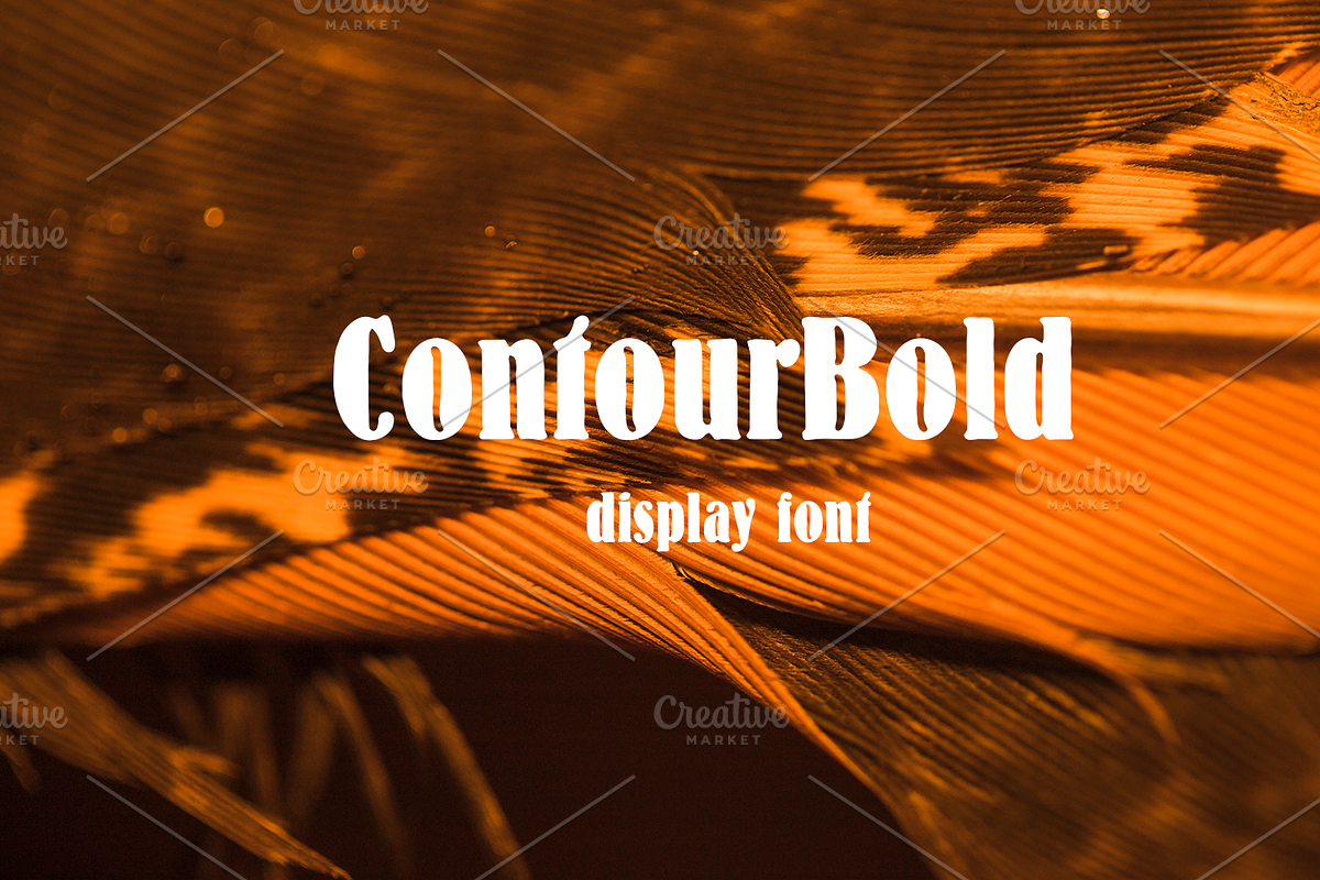 ContourBold-09-24-Regular, a Blackletter Font by canve (Photo 1 of 3)