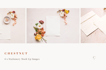 Stationery Mock Ups - Chestnut