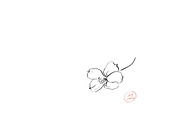 Ink Apple Blossom, an Illustration by Note And Silence (Thumbnail 5 of 5)