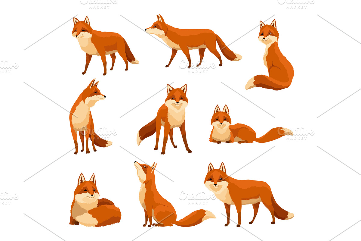 Red fox set. Funny character, forest, an Animal Illustration by the8monkey