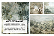 30+ Timeless Olive Grove & Mist, a Decorative Illustration by Virgo Studio (Thumbnail 4 of 6)