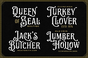 NS Emhericans + Extras, a Serif Font by Novisouldado (Thumbnail 4 of 14)