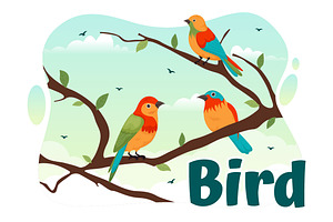 11 Bird Animal Vector Illustration