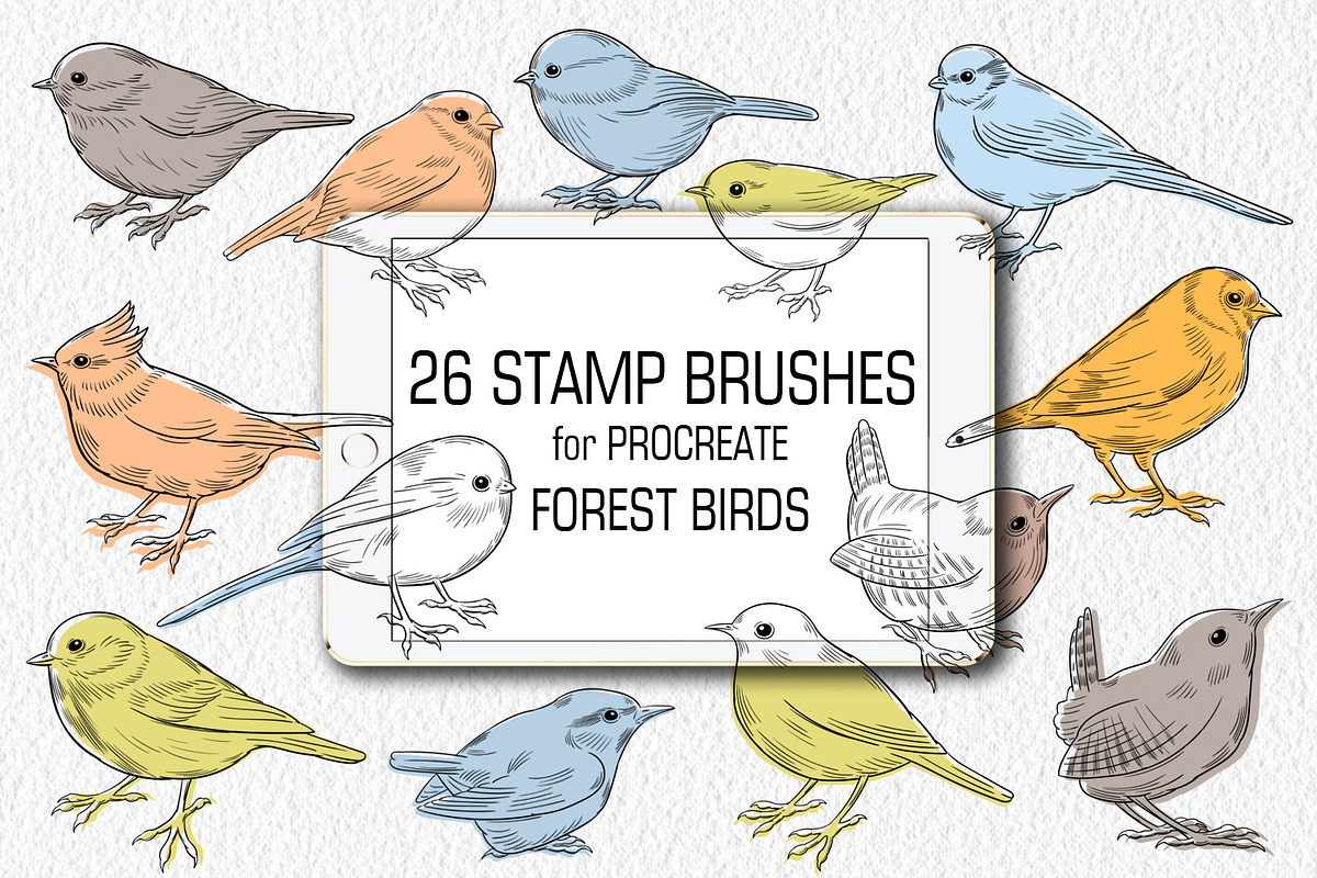 Birds Stamp brushes for Procreate, a Brush Add-On by ViktoriArt (Photo 1 of 7)