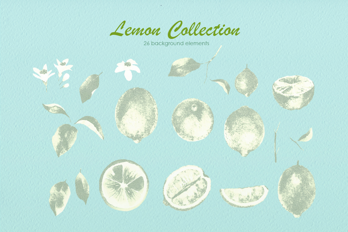Lemon Collection, a Food Illustration by oKOLOstyle (Photo 7 of 8)