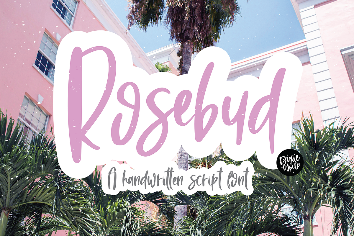 ROSEBUD a Handwritten Script Font, a Script Font by Blush Font Co. (Photo 6 of 6)